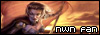 Neverwinter Nights Fan