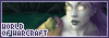 World of Warcraft Fan